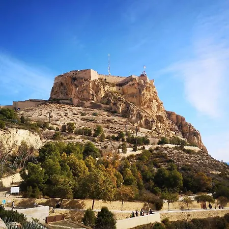 Rivera#2 Alicante