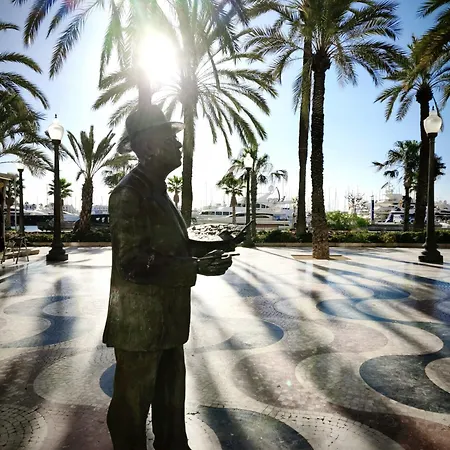 Rivera#2 Alicante